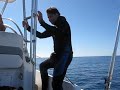 In between dives - takin' a ride on the West Side