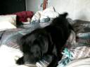 Sam n Paco Glamis 08.mov