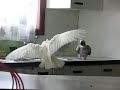 Magoo prend sa douche Paco vient l\ Magoo prend sa douche Paco vient l\