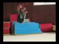 Tricking-Montage