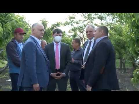 Глава государства посетил двух экономических агентов и одного ветерана из Каушанского района