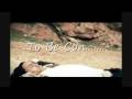Intro-TEST-Chabouba-Abdelkrim-Beni-Mellal-Maroc-Morocco-2008-GTA-By-NahhaliVisionNetwork