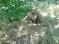 Ghillie suit Milicki strzelec wyborowy