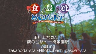 小平をオリパラ競技５５種目に見立てて、巡っていただきました「めぐりん小平」お陰様で、無事終了しました！！
しかし、小平を巡る皆さんの物語は、終わりません！小平で楽しむのんびりライフを、是非スタンプを押し終わった冊子片手に過ごしてみてください。
今日は、あいにくの雨模様ですが、雨の中の玉川上水を散歩してみるのもオツなものです。さぁ、行ったことのない小平へ出掛けてみましょう♪