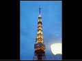 76th Star　レベッカ Coverd by Miko