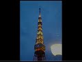 76th Star　レベッカ Coverd by Miko