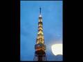 Assistir ao v�deo