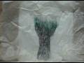 videos de skull-tree test