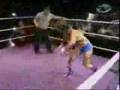 Jungle Grrrl vs. Terri Gold from WOW #1