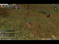 clip0057.avi