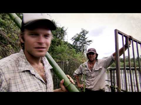 MATT WRIGHT'S AFRICAN CROC ATTACK - NAT GEO WILD