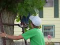 Okay So Sean [Sarah's Boyfriend] Throws Alannas Shoe In The Tree Its Pretty High.While Delbert Nd Rudy Are Helpingg.Rudy Finally Get In The Tre Nd Is Scared He Is Going To Fall..Delbert [His Cousin] Says He Will Catch Himm.Nd Its All Shits&&Gigles :D