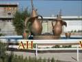 !! Al Ahwaz !!Ahwazi Guys Dansing in Ghish (Kish) Arabian Ahwazi s Island !!!