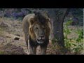 Preserve or Perish .Awarded film by Saurabh Dixit and Aman Sandhu