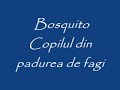 Copilul din padurea de fagi.wmv