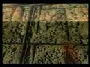 Final Fantasy Amv |E13 Pro Study 001|