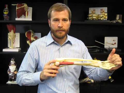 how to treat ulnar nerve entrapment