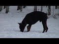 выставка 