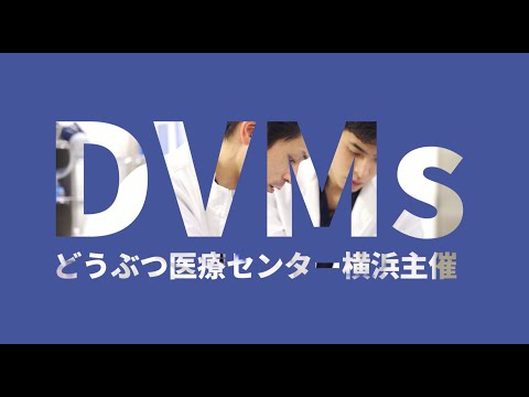 DVMs Academy