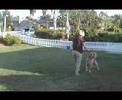 JSDS Freestyle - Part 4 JSDS Freestyle - Part 4