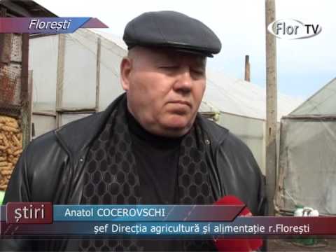 Seminar privind creșterea legumelor