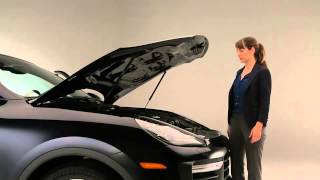 Engine Compartment Lid