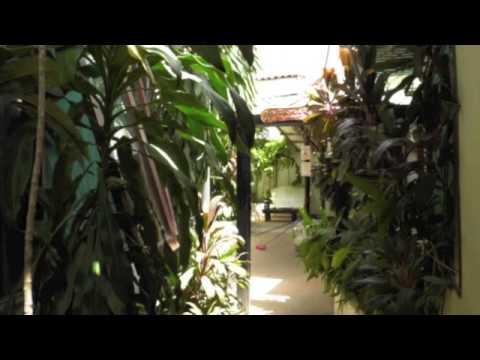 Video of Hostel Pura Vida