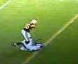 Huge Hit from Hines Ward
