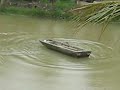 O pescador chapado