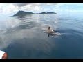dive travel