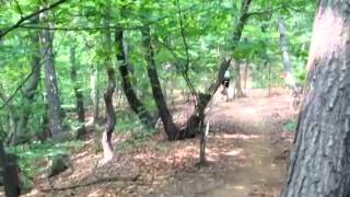 video thumbnail Adjustable Seatpost  27.2  30.9  31.6 youtube
