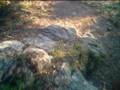videos de DH Monte da padela - Helmet Cam