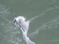 Part 2-GK Trix II 9 et Vsonic 11 Jard sur Mer session vagues : les videos voile