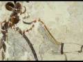 videos de BEYOND THE CRETE  ATLANTIS MYSTERY - 1