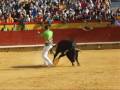 Recortes Bou per la Vila \