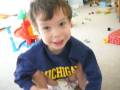 videos de Sea Creatures