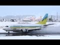 [Reverse Thrust in Snow] AIR DO Boeing 737-500 JA300K LANDING TOYAMA Airport 富山空港2012.1.25
