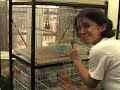 Visit The Little Bird Room Visit The Little Bird Room
