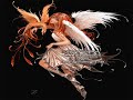 Beatyfull Fairies Beatyfull Fairies