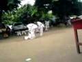 taekwondo fight for exam.3GP