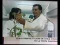 videos de QUESERIA LA ANTIGUA DE FUENTESAUCO Y SUS QUESOS EN TELE MADRID