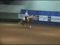 videos de gglimited open.mpg