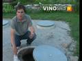 videos de Tomislav Tomac - vinar s PleÅ¡ivice