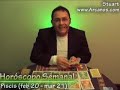 Horoscopo Piscis del 04 al 10 de noviembre 2007