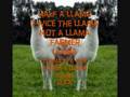 The Llama Song w/ Lyrics