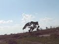 Matias Motocross Day