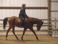 1/8/09 riding lesson 1/8/09 riding lesson