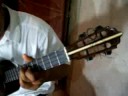 willman padron