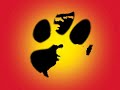 kevin salem -- dogsecrets.com provides 