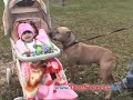 kevin salem -- dogsecrets.com provides 